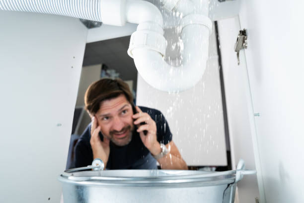 Best Septic Systems  in Springfield, FL